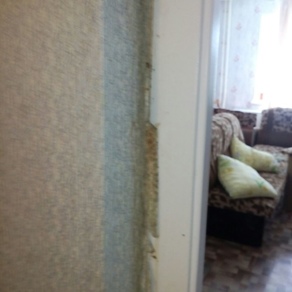 Уничтожение клопов в квартире с гарантией Балашиха