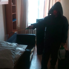 Уничтожение тараканов в квартире с гарантией в Балашихе