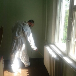 Уничтожить тараканов в квартире в Балашихе
